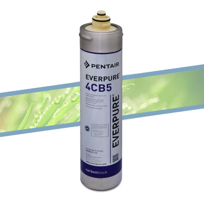 Everpure Filter 4CB5 EV9617-11
