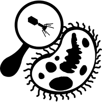 Bacteria and microorganisms
